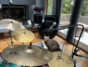 Cat Drummer
